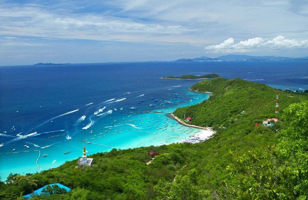 Koh Larn Monkey Beach Full Day Private Tour