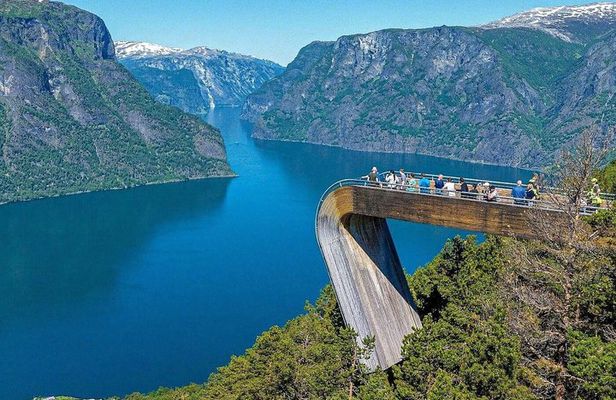 Private Full Day Oslo to Sognefjord with Flam Railway Stegastein