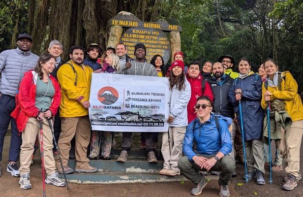 Best Mount Kilimanjaro Day Hike to Mandara Hut via Marangu Route