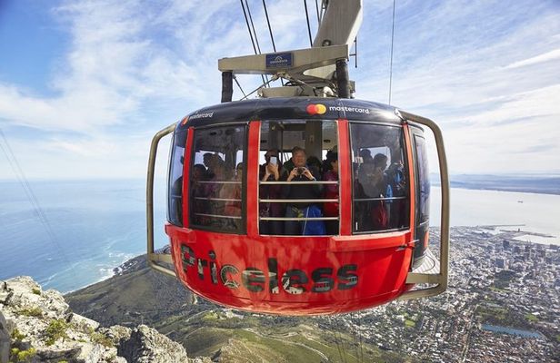 Table Mountain & Cape of Good Hope: Private Full day Tour