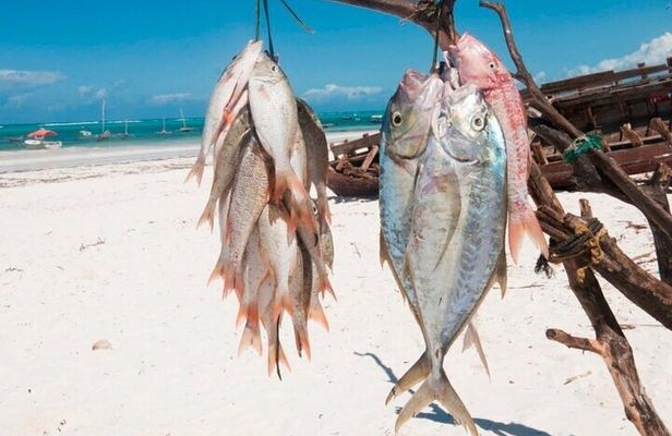 Zanzibar Sea Fishing Boat Tour experience with Transfer