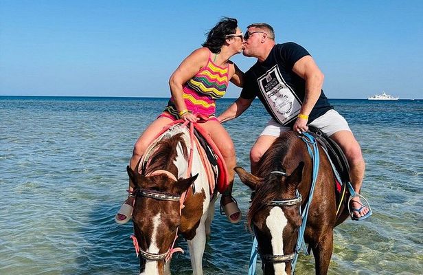 Sharm El Sheikh Horse Riding Beach and Desert Mountain Adventure