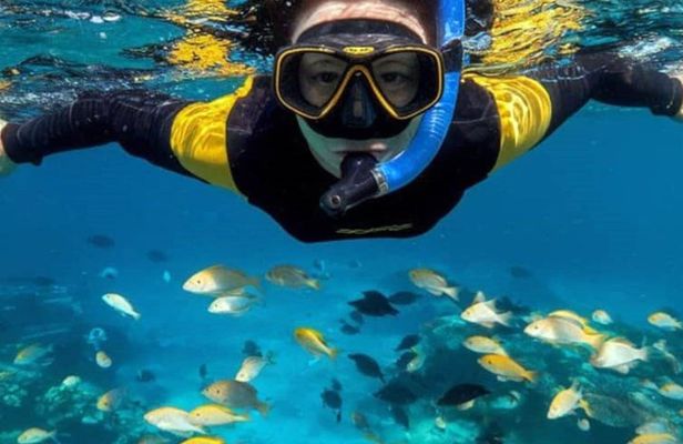Swim with Dolphin and Snorkeling Adventure at Mnemba Island
