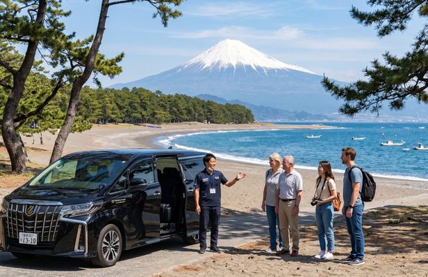 Shimizu Shore Excursion: Mt. Fuji View Tour, Licensed Guide