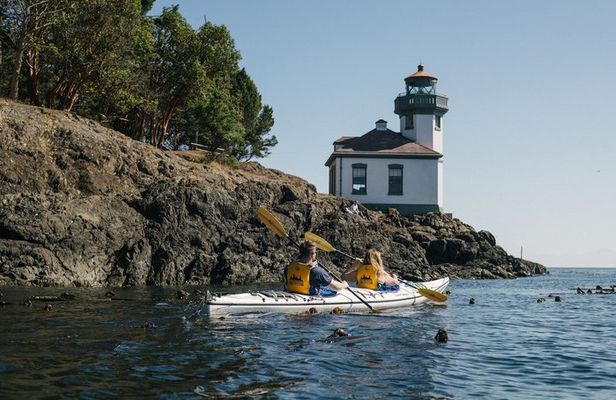 Half Day Kayak Tour on San Juan Island