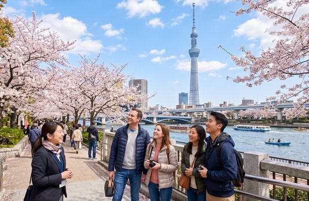 Tokyo Instagram Spots Customized Tour with Licensed Guide