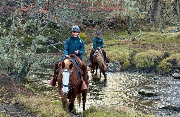 Half Day Horse Connection Experience near Puerto Natales