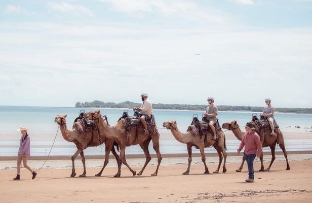 Darwin: Beach Camel Ride at Mindil Beach