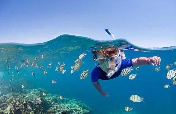 Roatan private Snorkeling Tour: Monkeys,Sloths & Beach Break