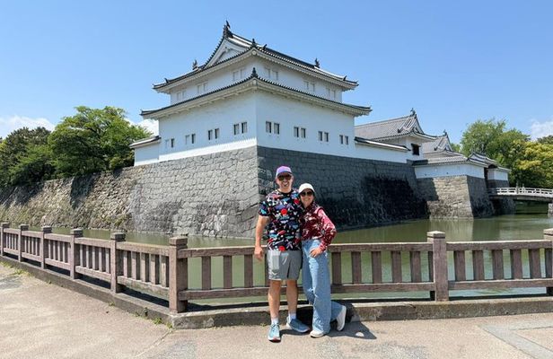 Shimizu Shore Excursion: Mt. Fuji View Tour, Licensed Guide