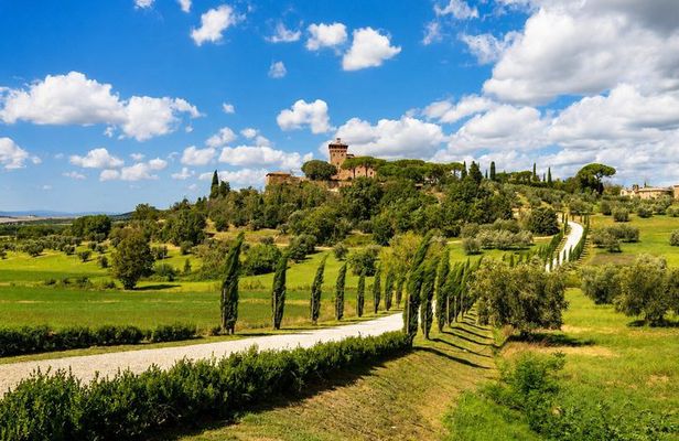 From Florence: Val d'Orcia, Montepulciano & Montalcino