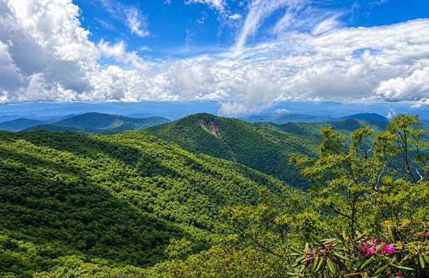Private Boutique Blue Ridge Parkway Full Day Tour