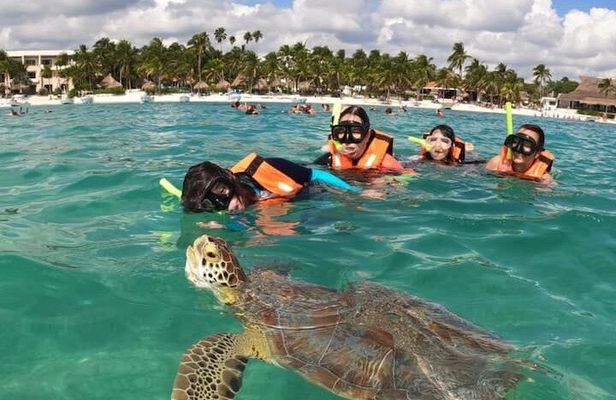 Snorkel with Turtles-Akumal Bay