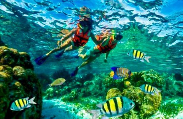 Private boat snorkeling in Puerto Morelos
