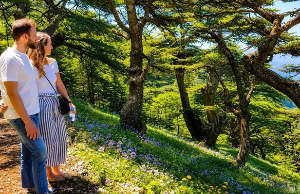 Private Beiteddine, Barouk Cedars Hike & Deir el Qamar | Beirut