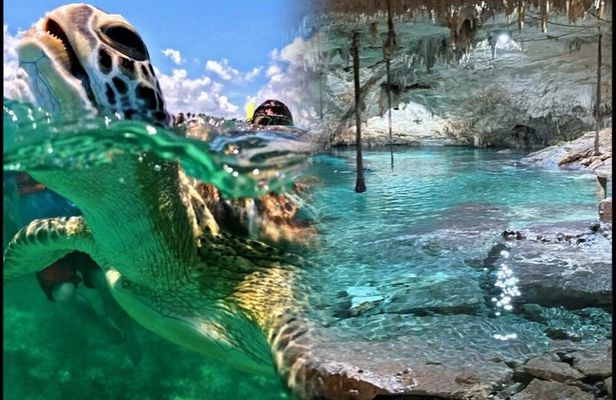 Turtle snorkeling and visit of an underground cenote with food