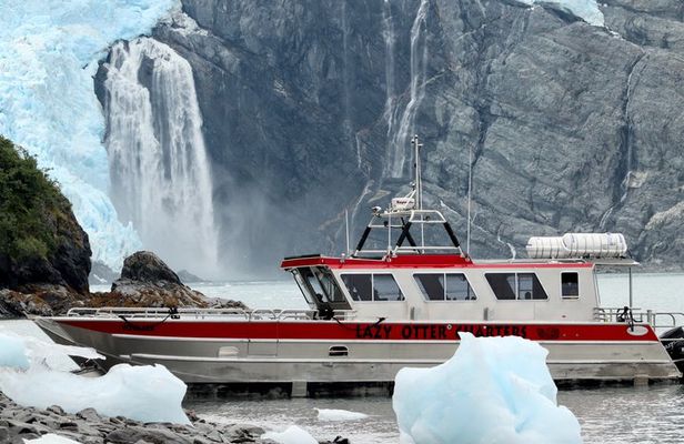 Whittier Glacier Wildlife Boat Tour