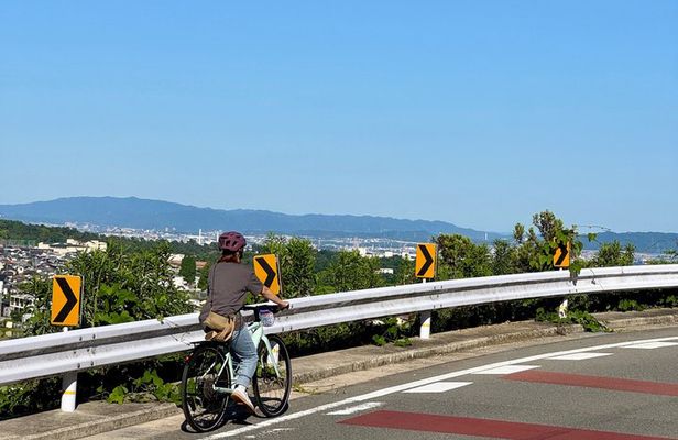 Osaka E Bike Tour: Hidden Nature, Temple & Japanese Cheesecake