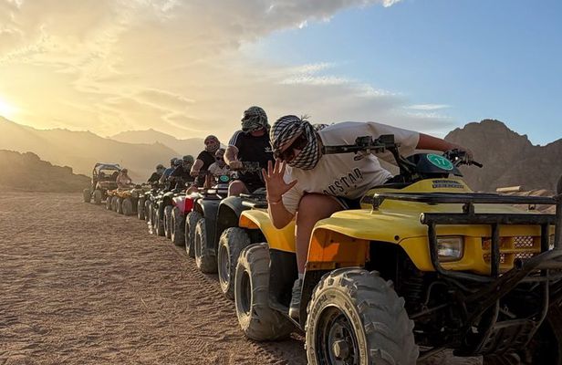 Quad & Buggy Safari Sharm Small Groups, with Beduin Dinner & Show