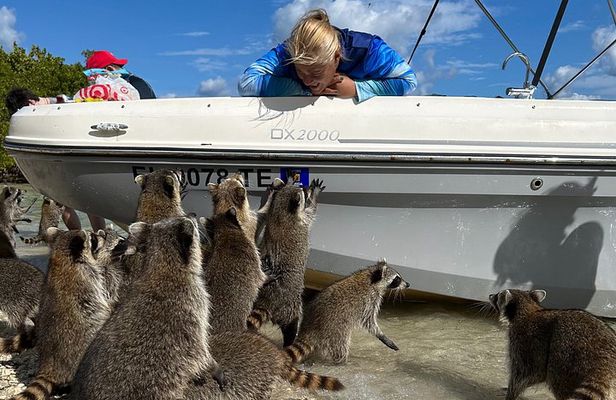 Miami Raccoon Island Wildlife Boat Tour with Captain and Photos