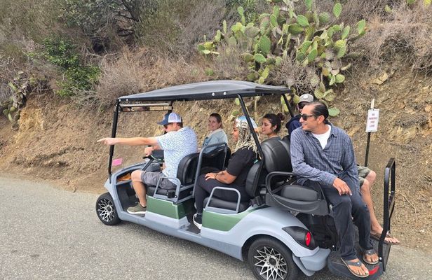 Avalon Golf Cart Tour Led by Former Museum Curator