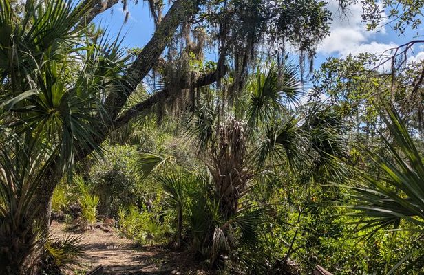Oscar Scherer Vortex Tour Mindful Hiking and Meditation