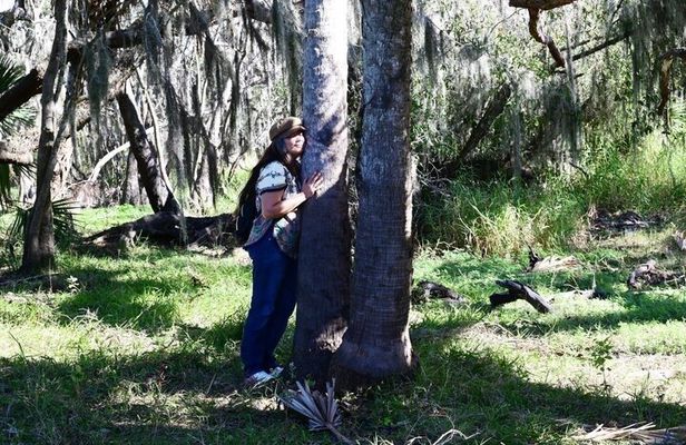 Myakka River Vortex Tour