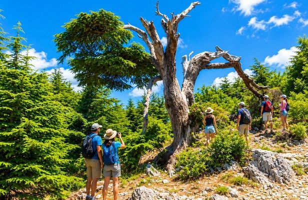 4 Nights Lebanon Holiday Package