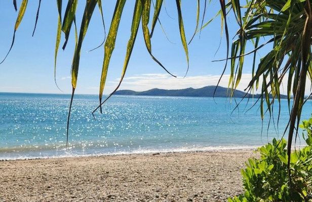 Rainforest to Reef Guided Bushwalk Adventure Airlie Beach
