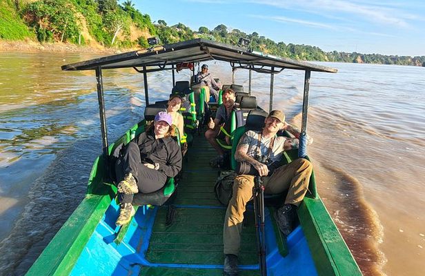 Tambopata VIP 3dias Wildlife Tour Peru