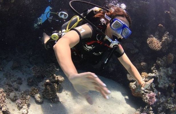 Scuba Diving from Boat Adventure in Sharm El Sheikh