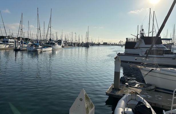 Private Channel Islands National Park Day Tour from Los Angeles