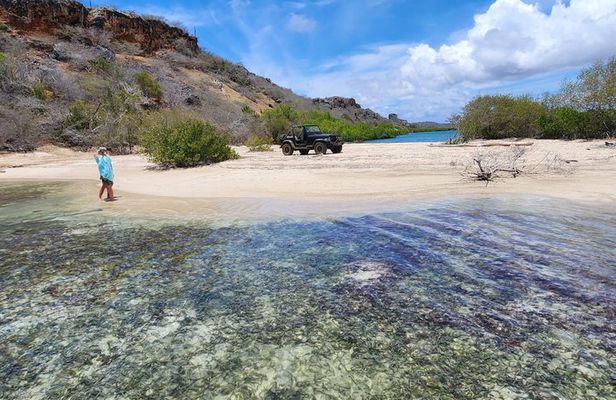 Customizable, Private Off Road Jeep Tour to Curacao Hidden Gems