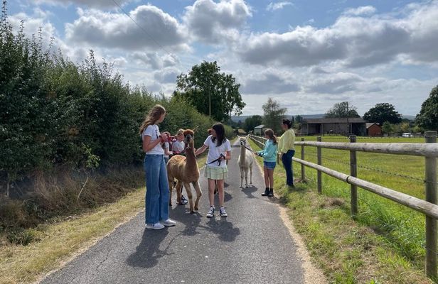 Private 1-Hour Alpaca Walking Experience