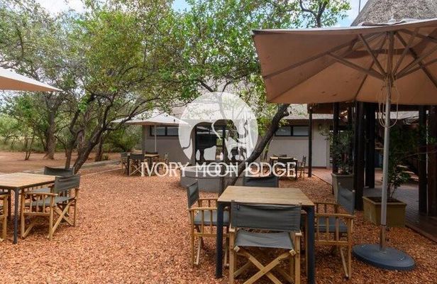 5-Day Luxury Ivory Moon Lodge Safari in Kruger National Park
