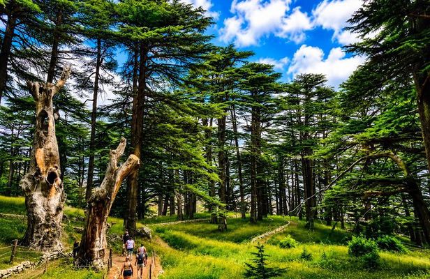 Qadisha Valley, Cedars Hike & Kozhaya | Small-Group Tour Beirut