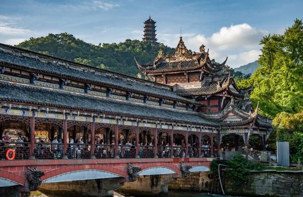Wolong Panda Reserve & Dujiangyan Private Guided Tour with Lunch