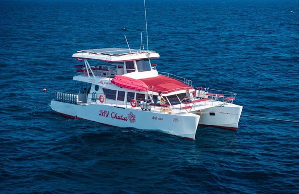 Koh Tao 3 Dive Catamaran Diving Experience with MV Chaba