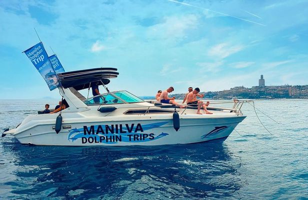 Dolphin Watching in Manilva