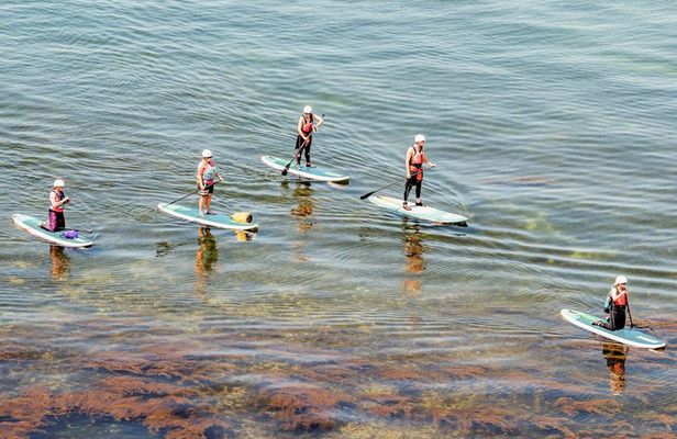 Introduction to Stand Up Paddleboarding in Studland