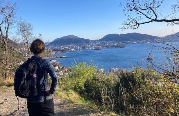 Bergen Hike with Local Guide Scenic Views - max 6 pax - snack