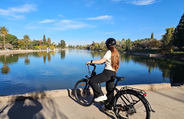San Martin Park E Bike Private Tour