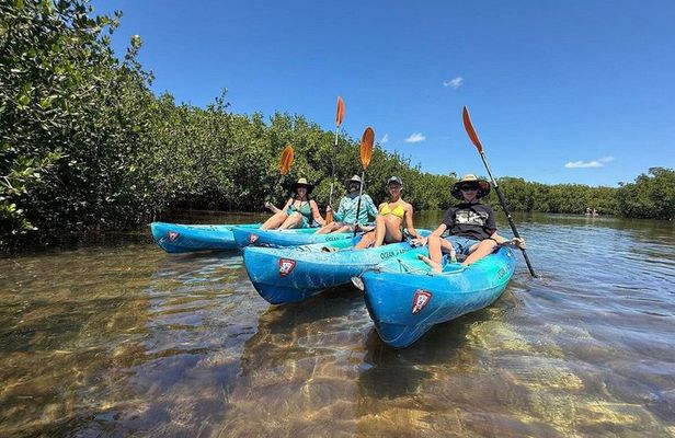 2 Hour Mangrove Maze Kayak Tour in Key West
