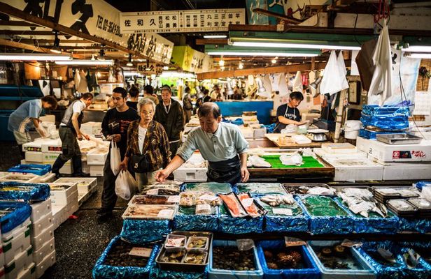 Tsukiji Fish Market Food Tour