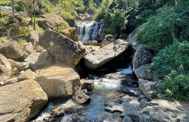 Private Scenic Tour Kandy to Ella with Sightseeing Stops