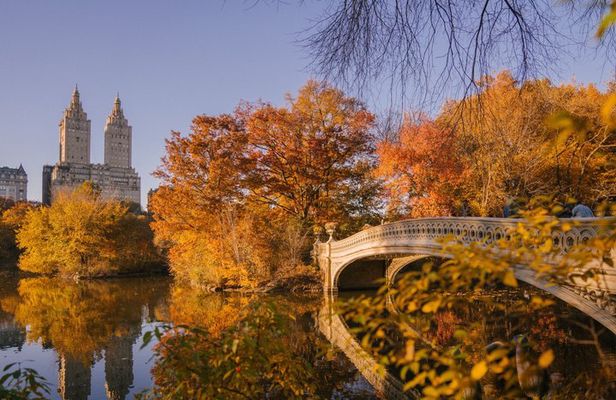 Central Park Pedicab Tour by The Big Apple