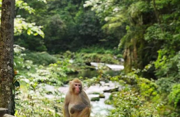 3Day Avatar Mountains, Tianmen, Furong and Fenghuang Private Tour