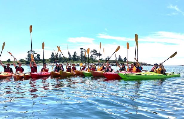 Harbor and Lighthouse Kayak Tour With Lobster Roll