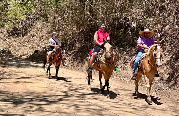Puerto Vallarta Ranch Day: Horseback Ride, Cow Milking & Lunch