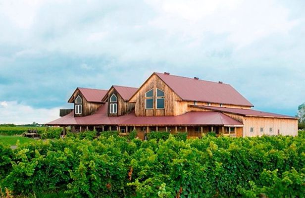 Niagara-on-the-Lake Evening Beer & Wine Country Dinner Tour
